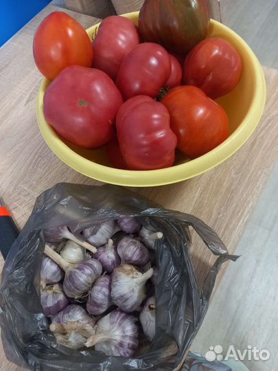 Помидор Чеснок