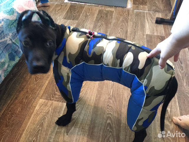 Зимний комбинезон новый