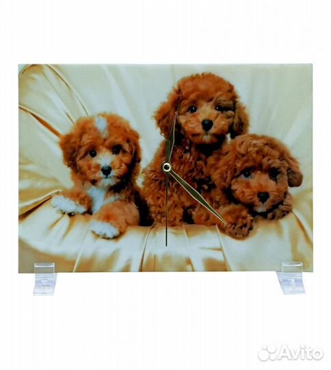 Декоративные часы той пудель