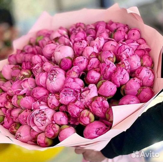 Пионы Розы Доставка