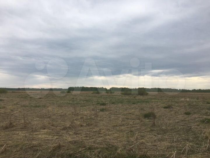 Участок 45 сот. (ИЖС)