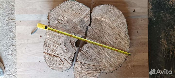 Слэб дерева. Торцевые спилы, слэб дубовый, кленовы