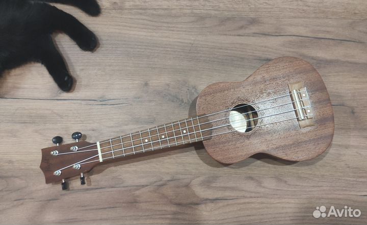 Укулеле flight