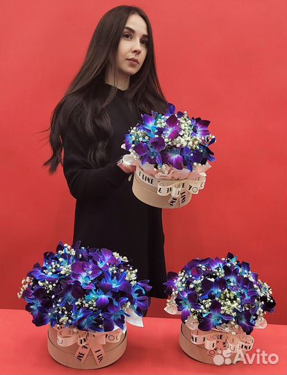 Букеты без Повода. Цветы. Орхидеи