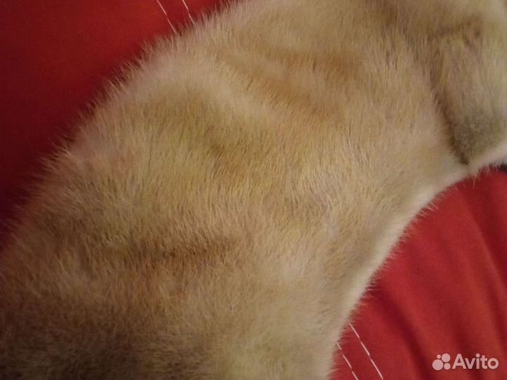 Меховой воротник