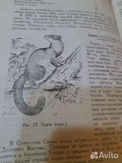 Биология промысловых зверей и птиц СССР