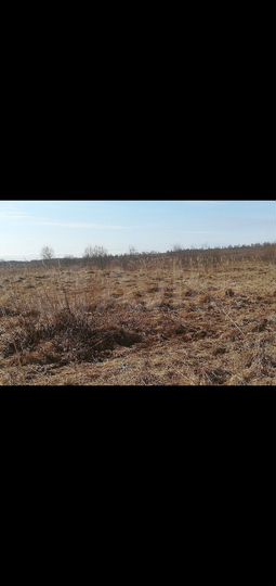 Участок 6 сот. (СНТ, ДНП)