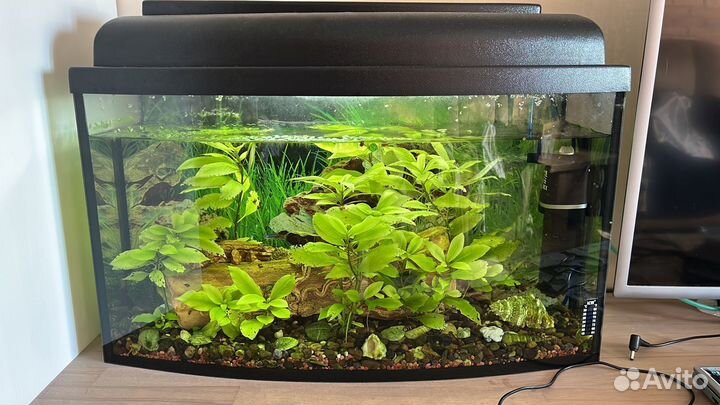 Аквариум 40л