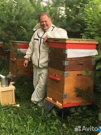 Мед свежий 2023