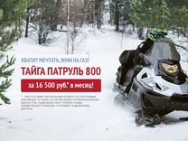 Тайга Патруль 800 SWT в рассрочку без переплат