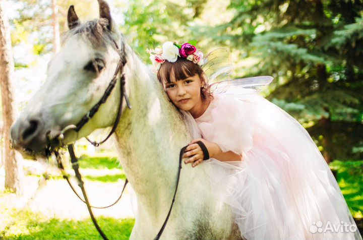 Заказ пони на праздник и в садик