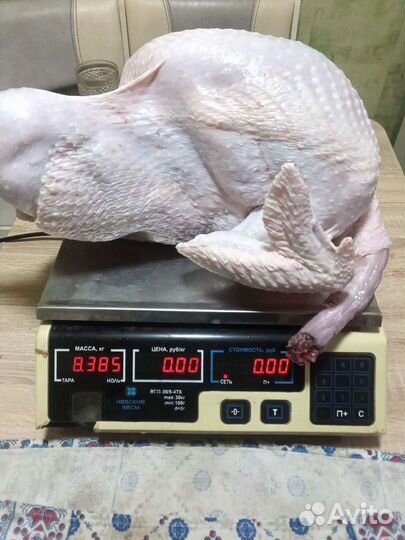 Мясо индейки бройлерной