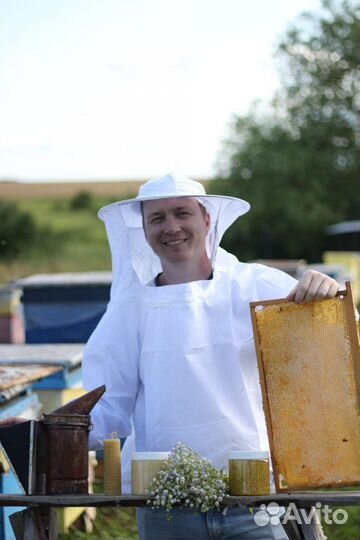 Матка Карника - 10 шт