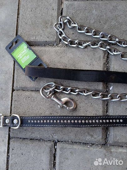 Ошейник и поводок