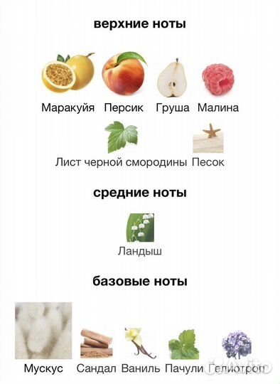 Духи kirke tiziana terenzi