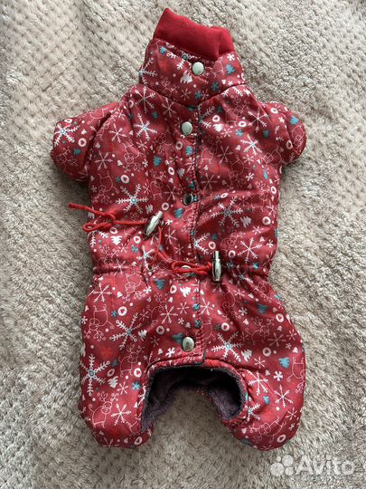 Зимний комбинезон и куртка