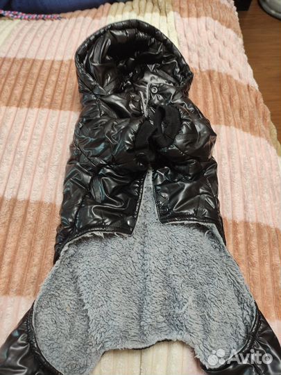 Комбинезон для маленькой собаки мальчик