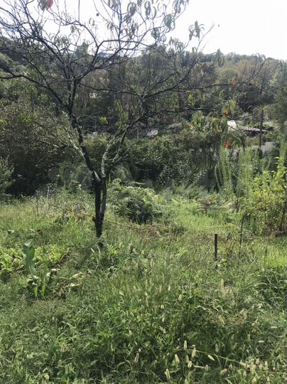 Участок 7 сот. (СНТ, ДНП)