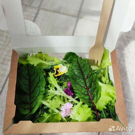 Листовые миксы, микрозелень для частных лиц