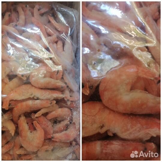 Креветка Королевская