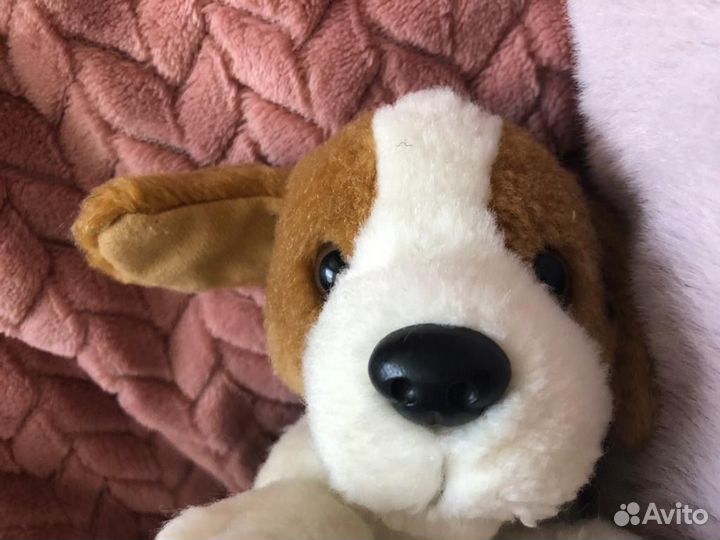 Мягкие игрушки собака