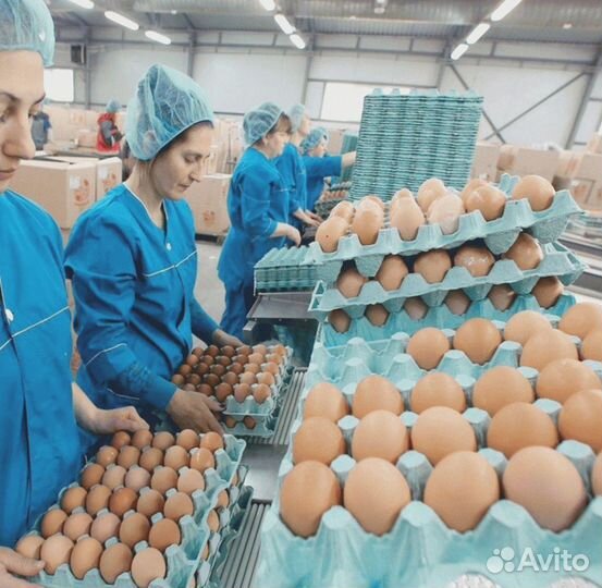Упаковщик/ца на Вахту в Питер Транспорт