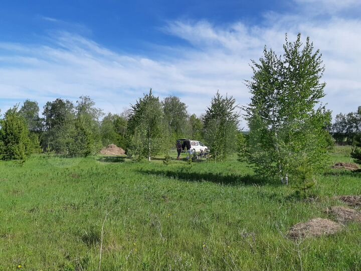 Участок 14 сот. (СНТ, ДНП)