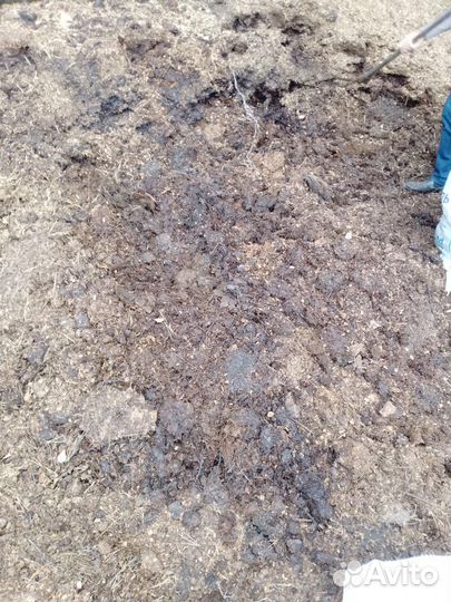 Навоз конский в мешках