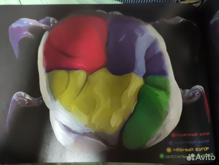 Книга по стоматологии 