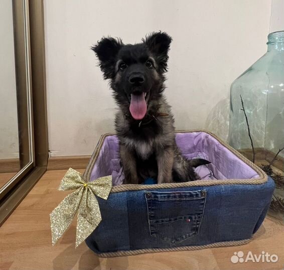 Милая девочка, 1,5 месяца