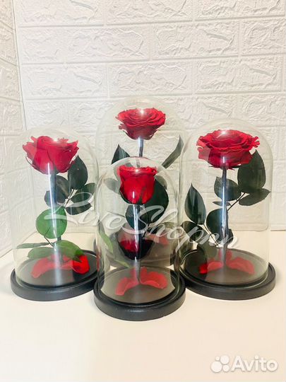 Роза в колбе