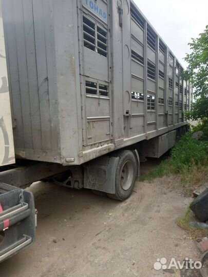 Полуприцеп скотовоз