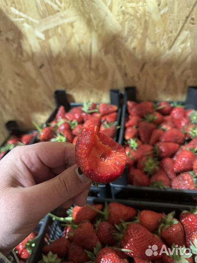 Клубника свежая, бесплатная доставка