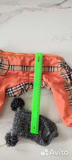 Комбинезон для собак (мальчика) мелких пород