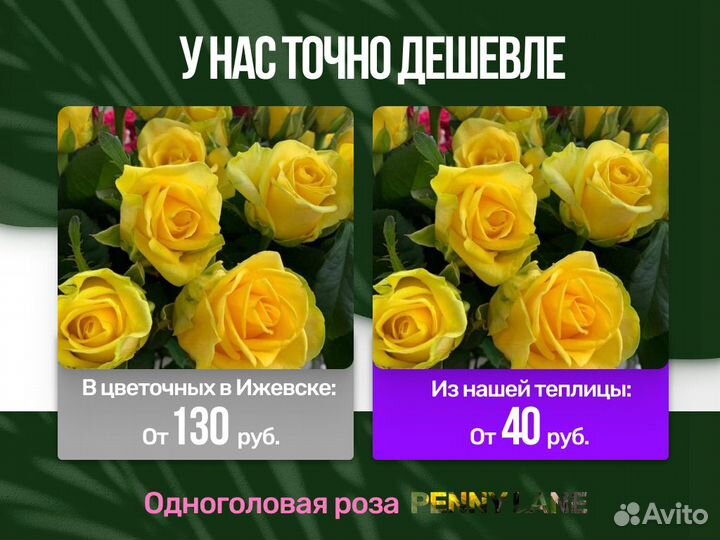 Желтые розы яркий букет