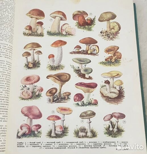 Популярная медицинская энциклопедия, СССР