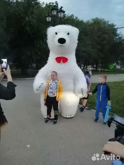 Поздравление белого медведя, панды