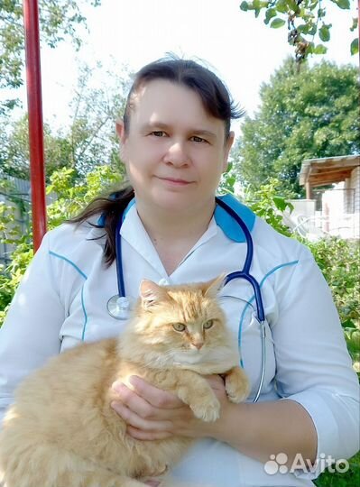 Ветеринарная помощь