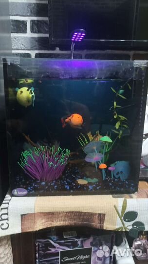 Аквариум с рыбками люминисцентный Gloxy