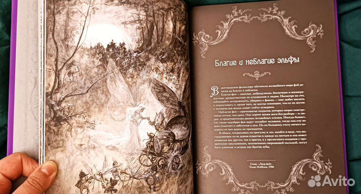 Книга фей. Подарочное издание