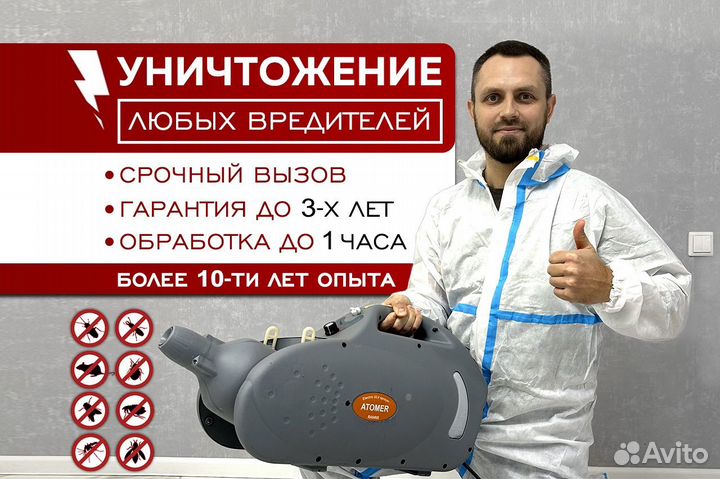 Уничтожение клопов, травить тараканов. Дезинсекция