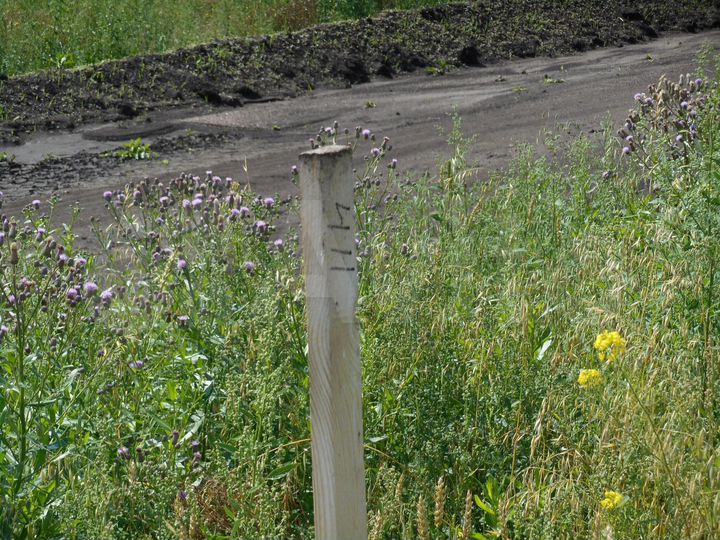 Участок 10,2 сот. (СНТ, ДНП)