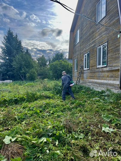 Расчистка участка спил деревьев/покос травы