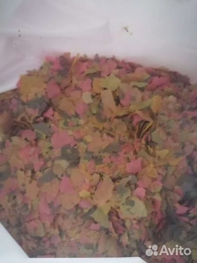 Корм для аквариумных рыб. Тетра