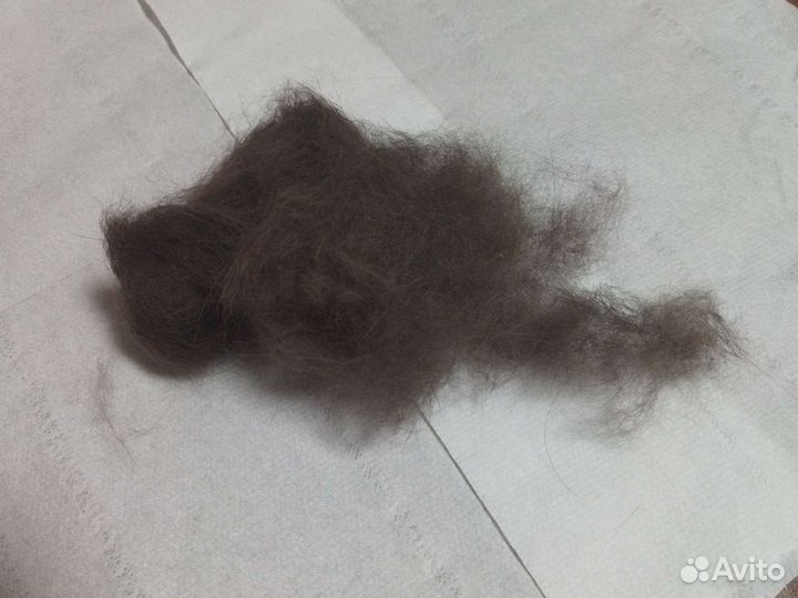Кошачья шерсть