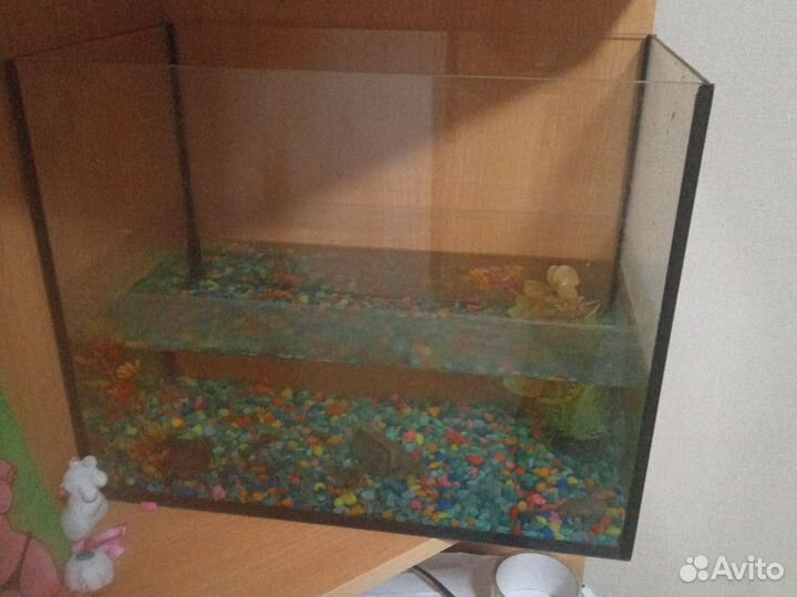 Аквариум