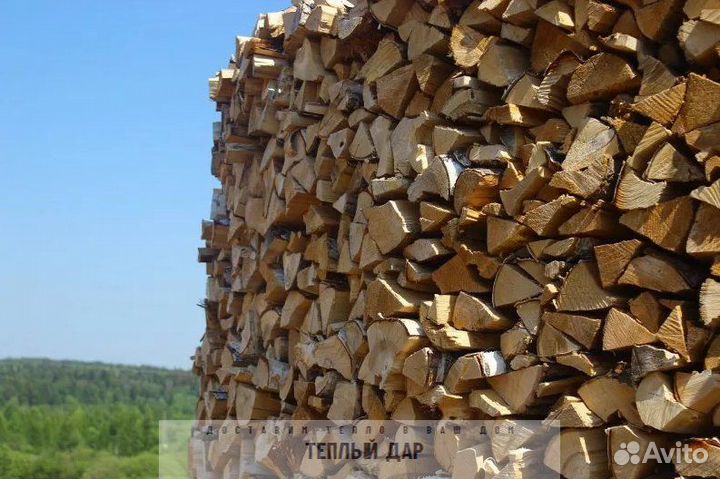 Дрова сухие