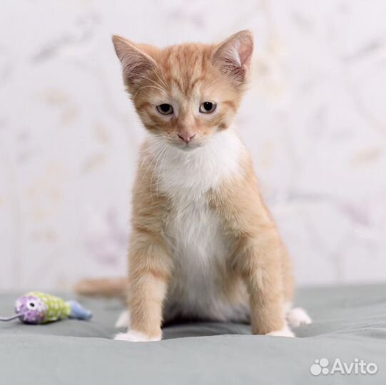 Так не бывает на свете, чтоб были потеряны дети