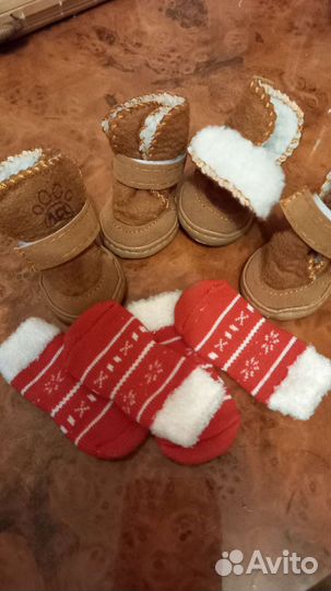 Одежда для собак мелких пород