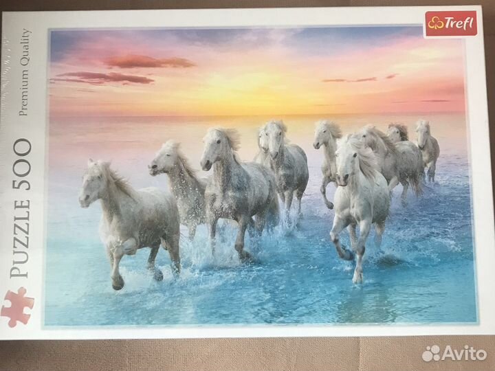 Пазлы 500 новый